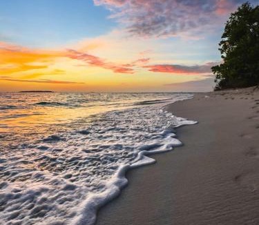 Kamadhoo Hotel | La Plage Maldives