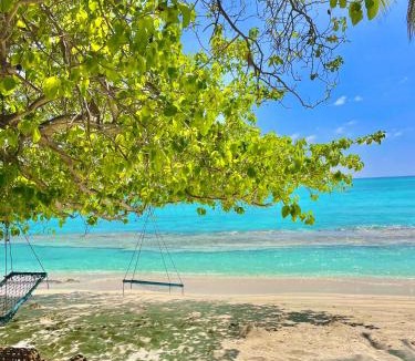 Fulhadhoo House | Jazeeraa beach stay