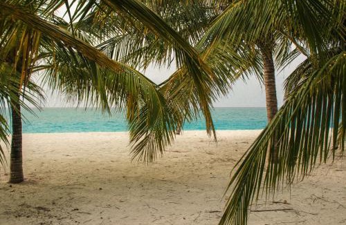 Hanimaadhoo House | Cerulean View