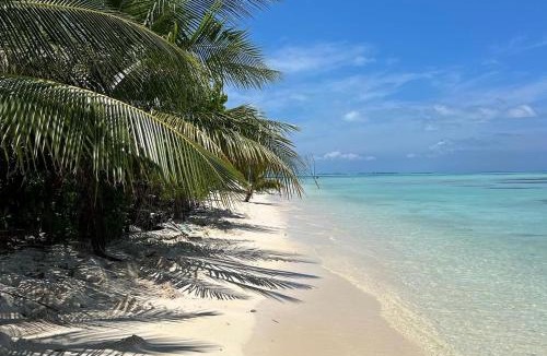 Dhiffushi House | Heron Beach Hotel Dhiffushi
