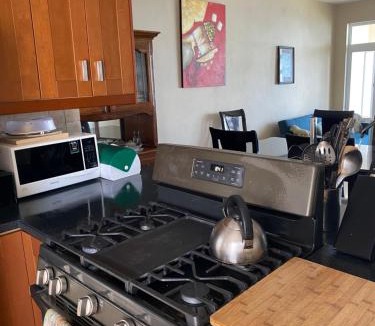Parham Town Apartment | Top of the Hill Blue Sunshine