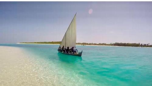 Nolhivaranfaru House | Ocean Voice Beach Resort & Diving