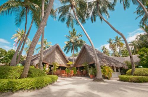 Fihalhohi Island Resort | Fihalhohi Maldives