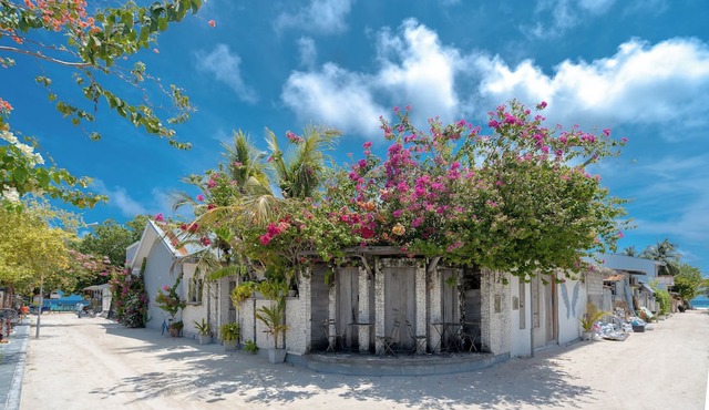 Brickwood Shoreline in Rasdhoo