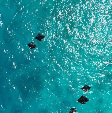 Raalhu Fonu Maldives in Mahibadhoo