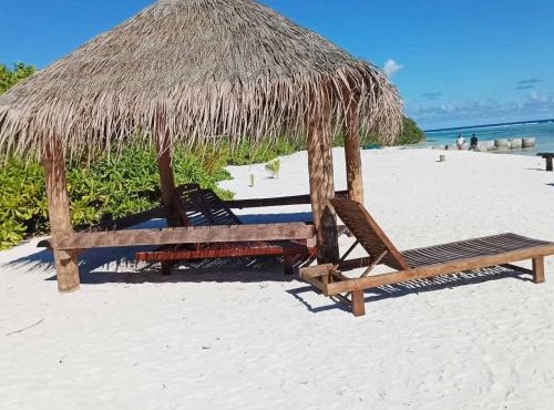 PalmRest in Kaashidhoo