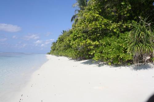 Boutique Beach All Inclusive Diving Hotel in Dhigurah